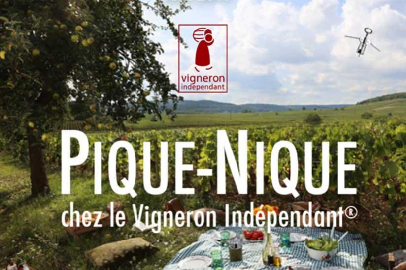 vignobles magnaudeix